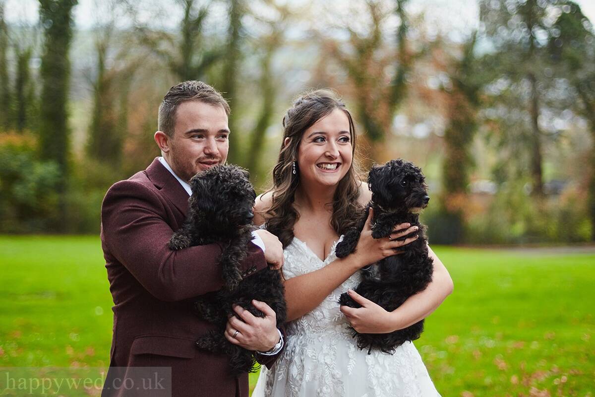 Coed y Mwstwr dog friendly venue