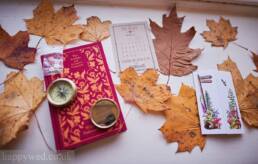 Peterstone court hotel wedding photography