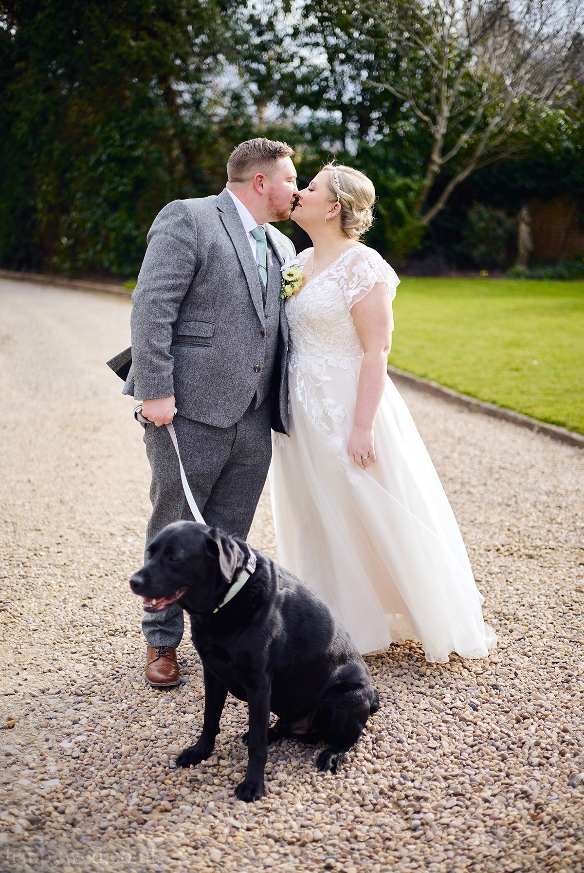 Glewstone court dog friendly venue