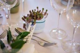 succulents wedding guests sitting plan
