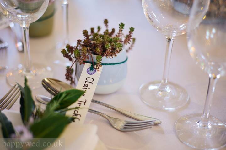 succulents wedding guests sitting plan
