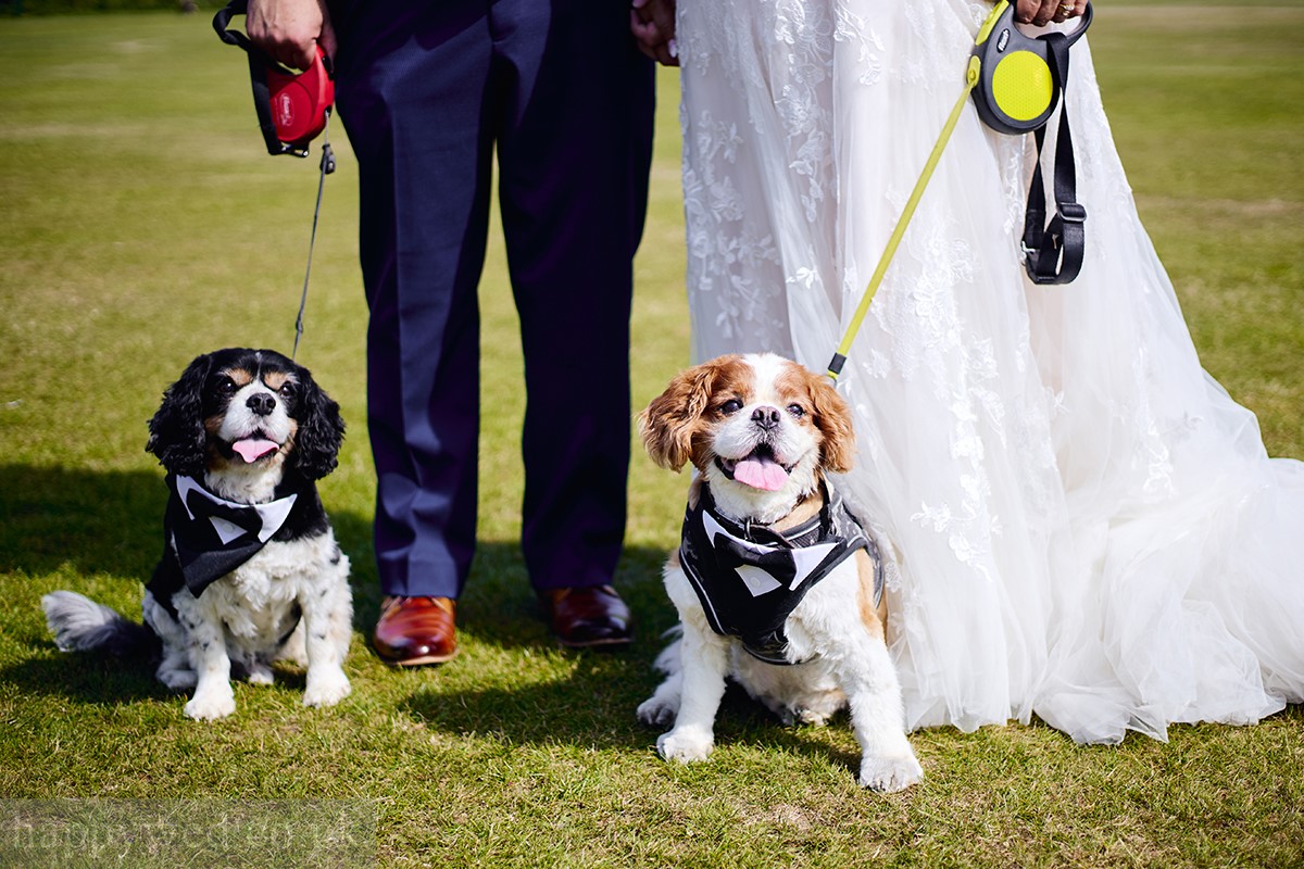 Stroud wedding photographer