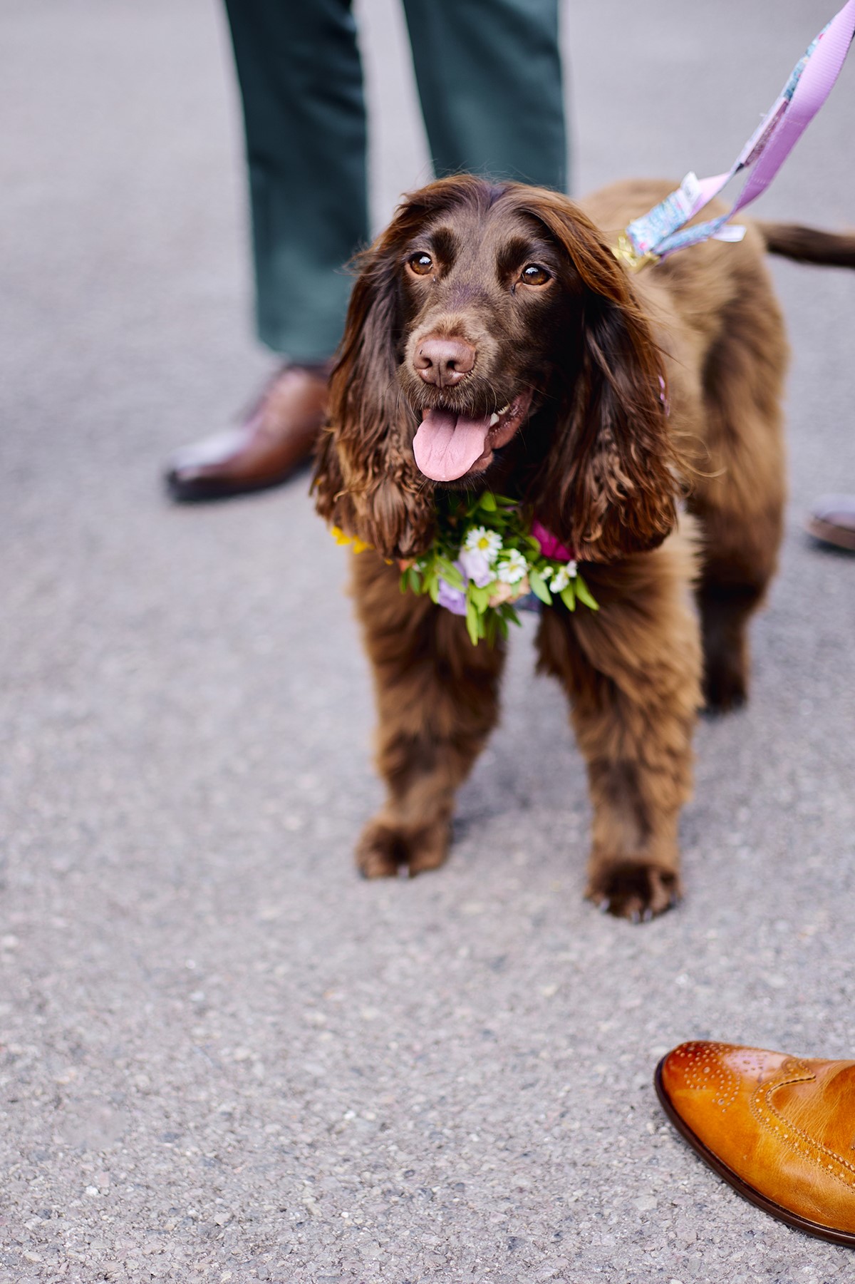 Best De Courceys Manor wedding photographers