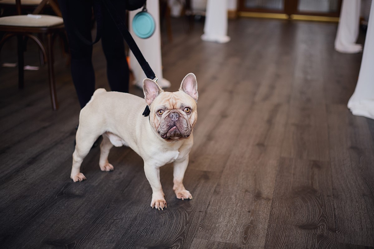 Ocean View wedding photography Gower